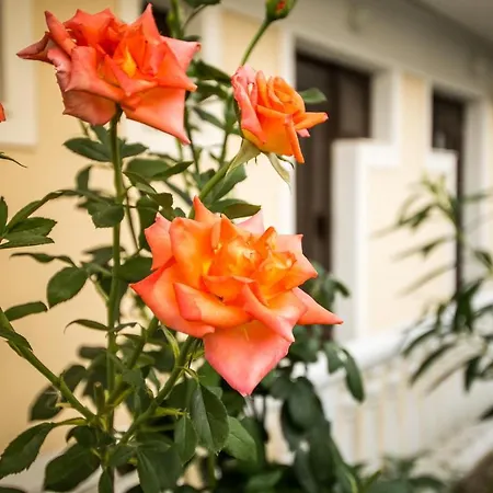 Apart-hotel Leonidas 3*